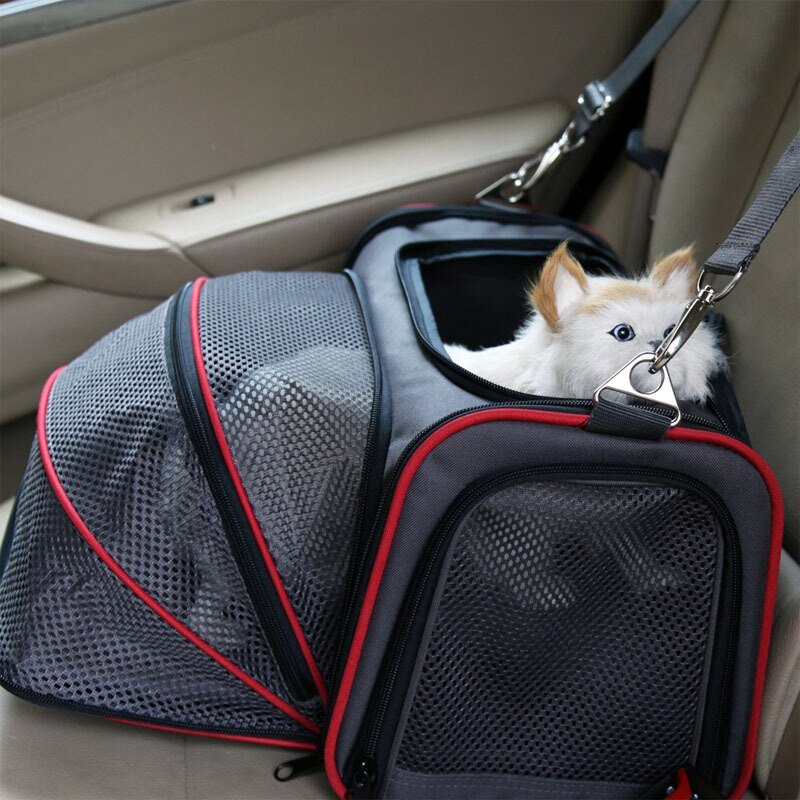 Udvidelig kattebærer kæledyrsbærer til hvalpekatte blødsidet kasse luftfartsselskab godkendt kennelbil rejsetaske multifunktionel wlyang