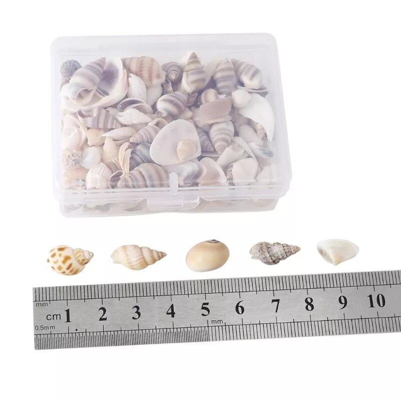 100 PCS Boxed Natural Conch Shells Mini Conch Corn Screw Wall Decoration DIY Aquarium Landscape Seashells Jewelry DIY Craft