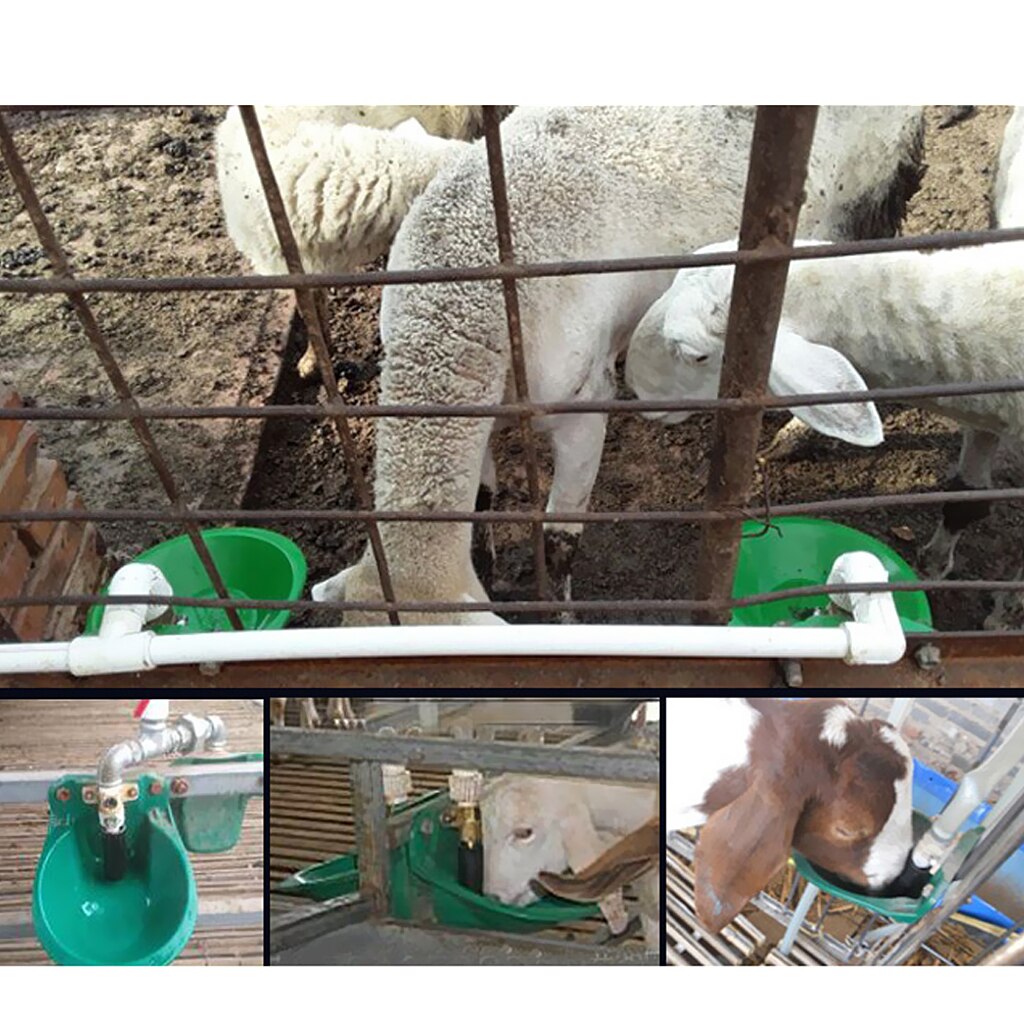 Bebedero automático para Cabras, cuenco de agua potable para ovejas, también para caballos, vacas y cabras