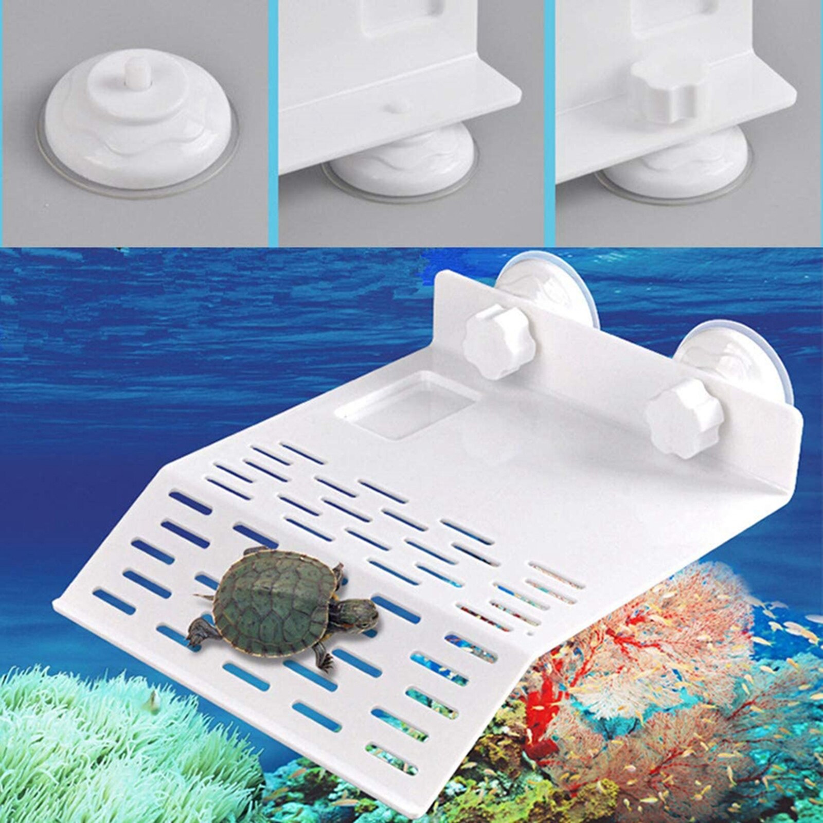 Turtle Pier Dock Basking Platform Shelf Ramp Steps... – Grandado