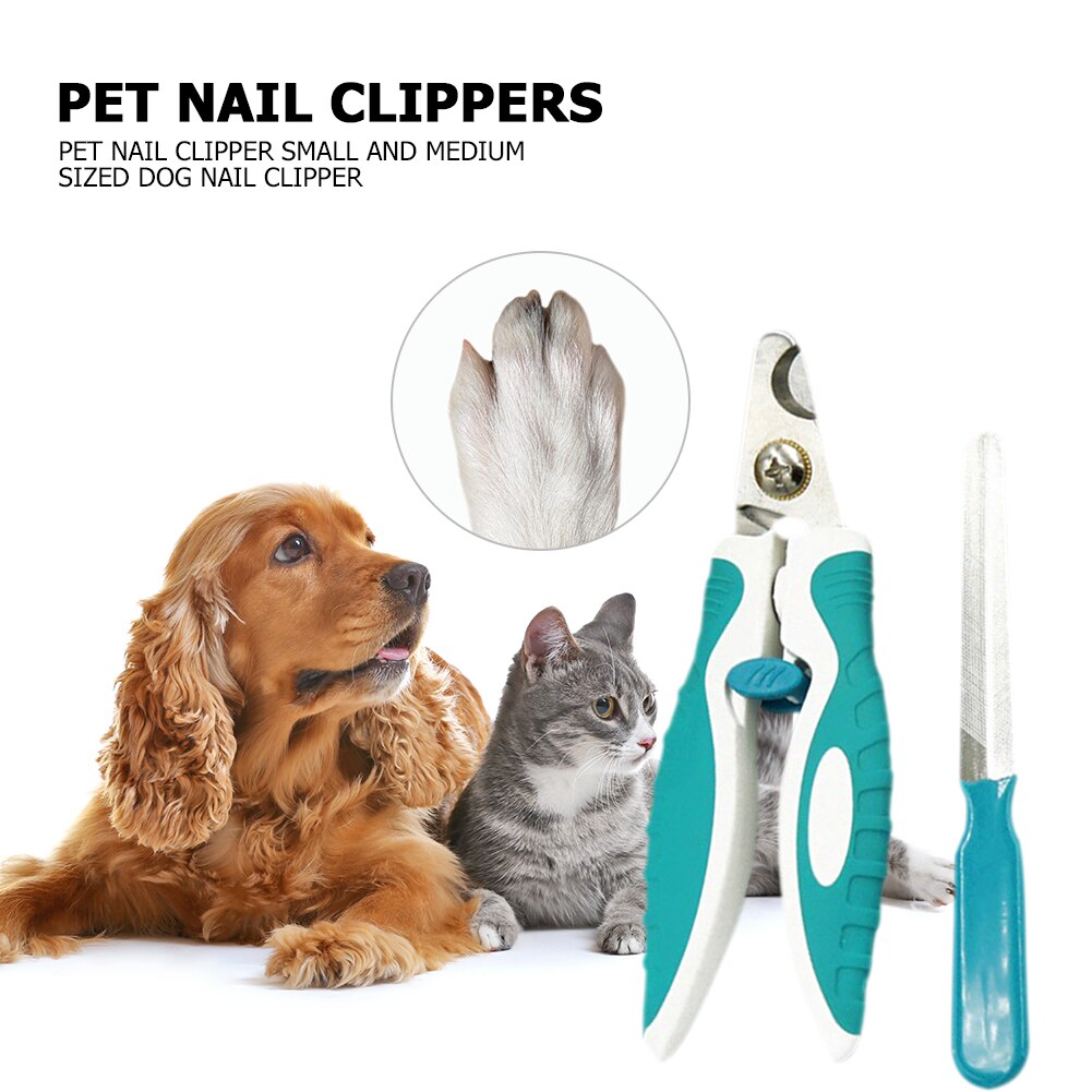 Pro Huisdier Nagelknipper Kit Hond Kat Arbeidsbesparende Nagels Schoonheid Schoonmaakproducten Voor Huishoudelijke Dier Honden Decoratie