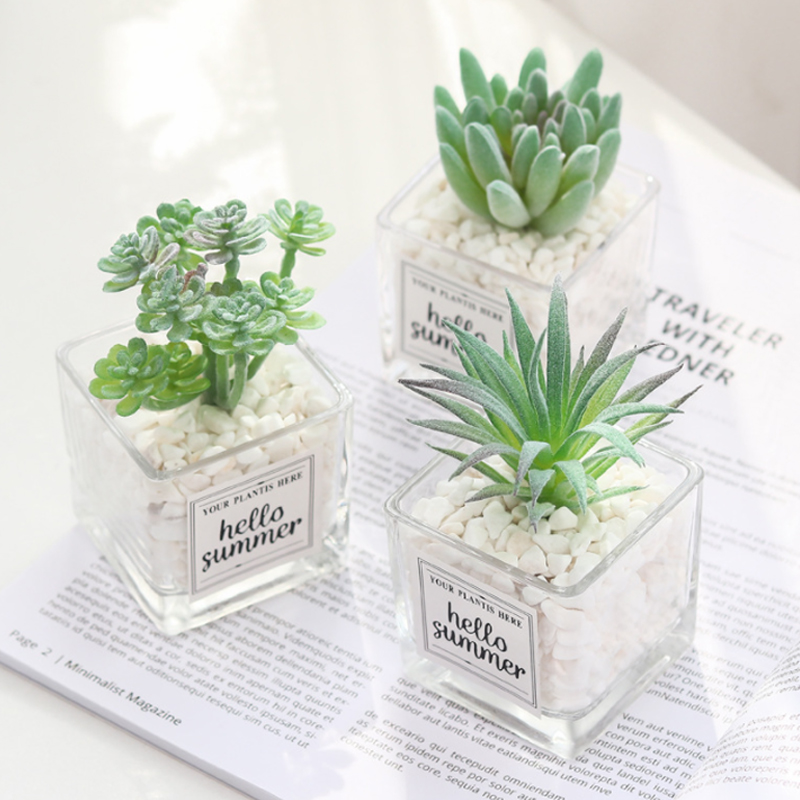 Planta de simulación nórdica, Mini planta suculenta en maceta, péndulo , botella de vidrio de piedra verde, planta decorativa de escritorio en maceta