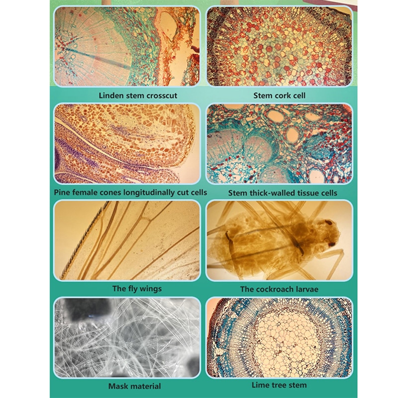 HD Camera Lens 400X Microscope Lens for iPhone Android Universal Phone High Magnification LED Light Easy Use Magnifying Glass