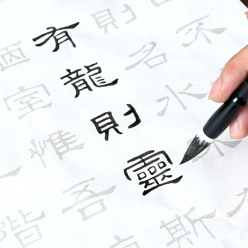 Chinese Officiële Script Calligraphi Schrift Volwassen Borstel Calligraphie Voorbeeldenboek Set Beginner Chinese Kalligrafie Praktijk Schrift