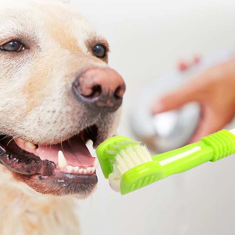 Cepillo de dientes para mascotas, limpieza de perros, cepillo de dientes de boca, limpieza multiángulo de tres lados, herramienta de cuidado de la salud de los dientes del sarro, suministros para mascotas