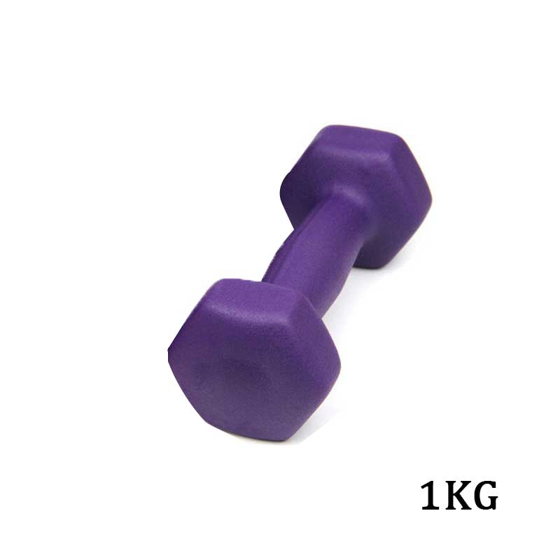 Dumbbells Set - 1kg Paar - Spuitverf Afwerking - Home Fitness Gewichtheffen: Paars 1kg