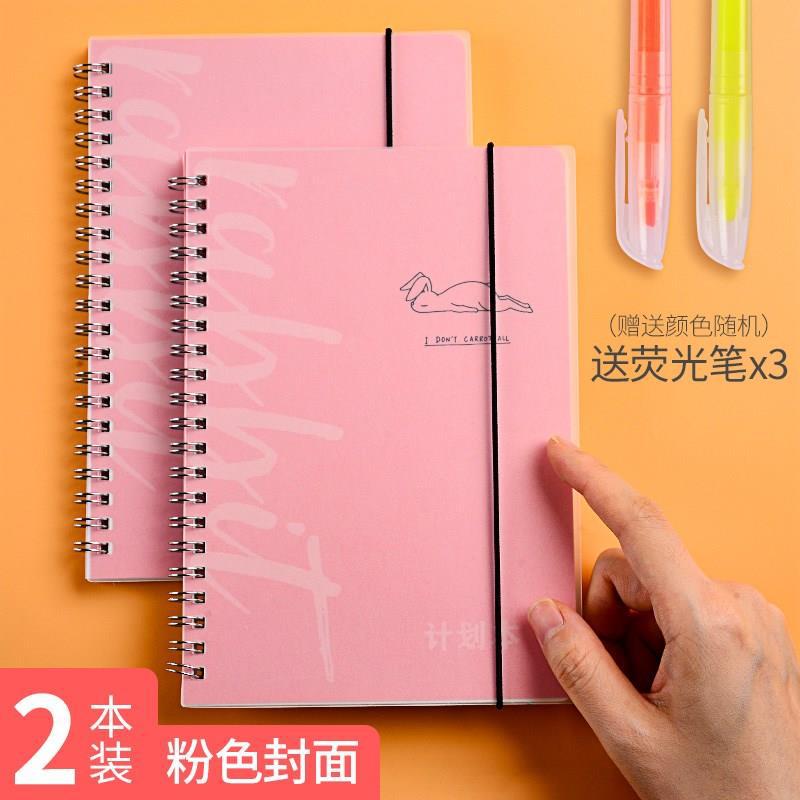 Plan scolaire, gestion du temps, apprentissage, emploi du temps de l'école primaire, adorables élèves, vacances d'été, temps, exécution, un an: 2 stylos fluorescents transparents à poudre semestrielle 3