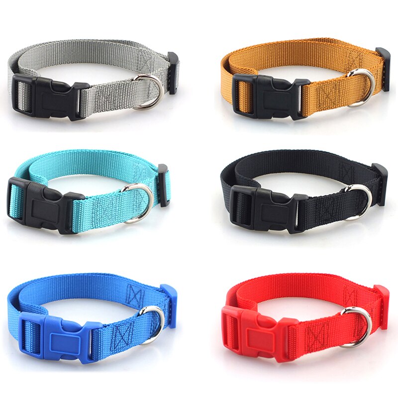 Klassiskt solid hundhalsband för hundar i nylon för små medelstora hundar kan matcha koppel och sele med snabbsnäppspänne