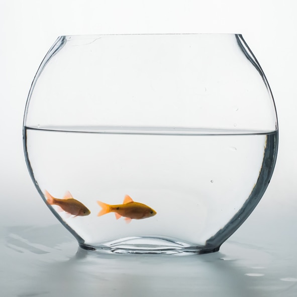 Mini Aquarium en verre plat Transparent ovale, accessoire décoratif pour bureau, Mini Aquarium, ZA210