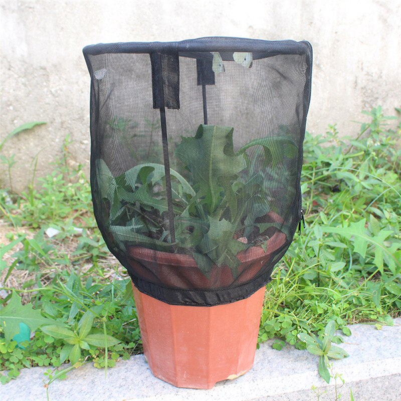 Tuin Insect Netto Kooi, zelfdragende Bloempot Kooi Te Voeden Insecten/View Insecten/Schaduw Planten