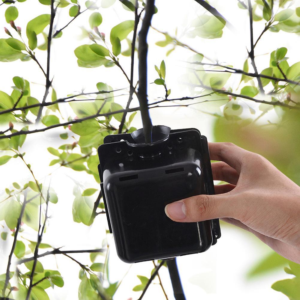 3/5 Pcs Plant Rooting Box Grafting Rooting Growing Box Breeding Case for Garden Plant high-pressure propagation boxes Sapling