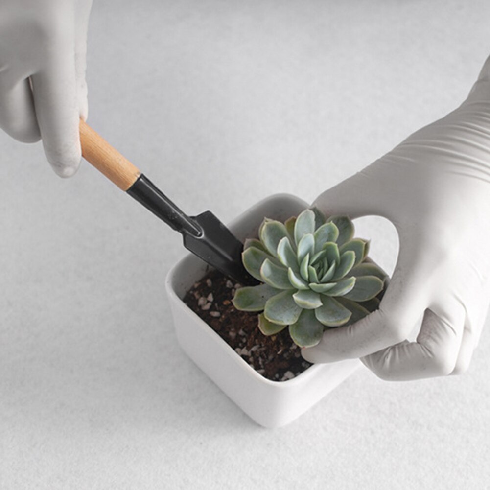 Planteur de jardin, Kit de plantation, arrosage, outil de bricolage, élagage, creuser, Succulent, facile à transporter, pièce