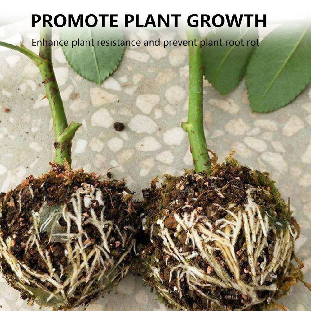 Caixa de crescimento de raiz de planta 5 peças, para jardim 5/8/12cm de diâmetro, enxertia de bola de enxertia de planta caixa de crescimento de enrolamento.