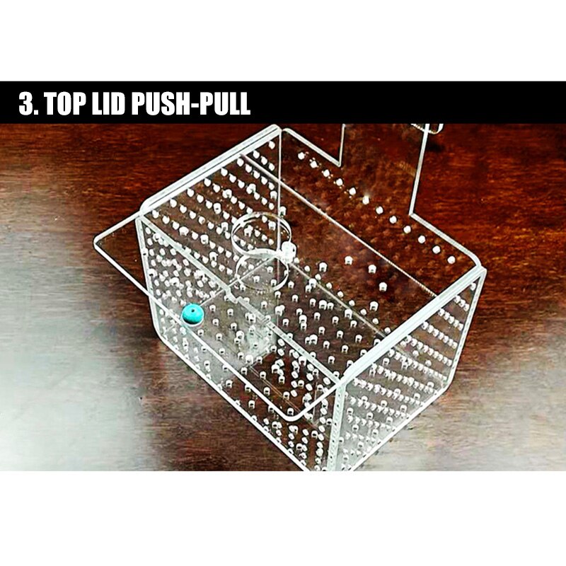 Arkylisk akvarium akvarium isolering box avel separation ruvningstank ung fisk bjstore