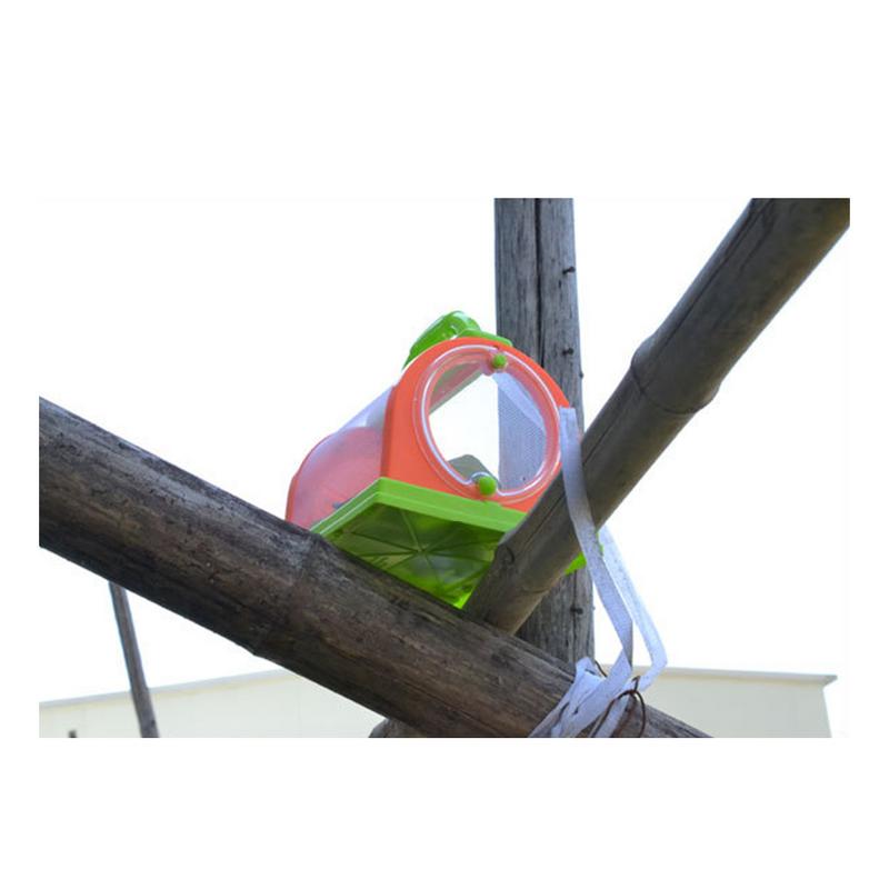 Insect Box Small Pet Observation Box Children's Portable Plastic Insect Cage Box Feeding Observation Experiment