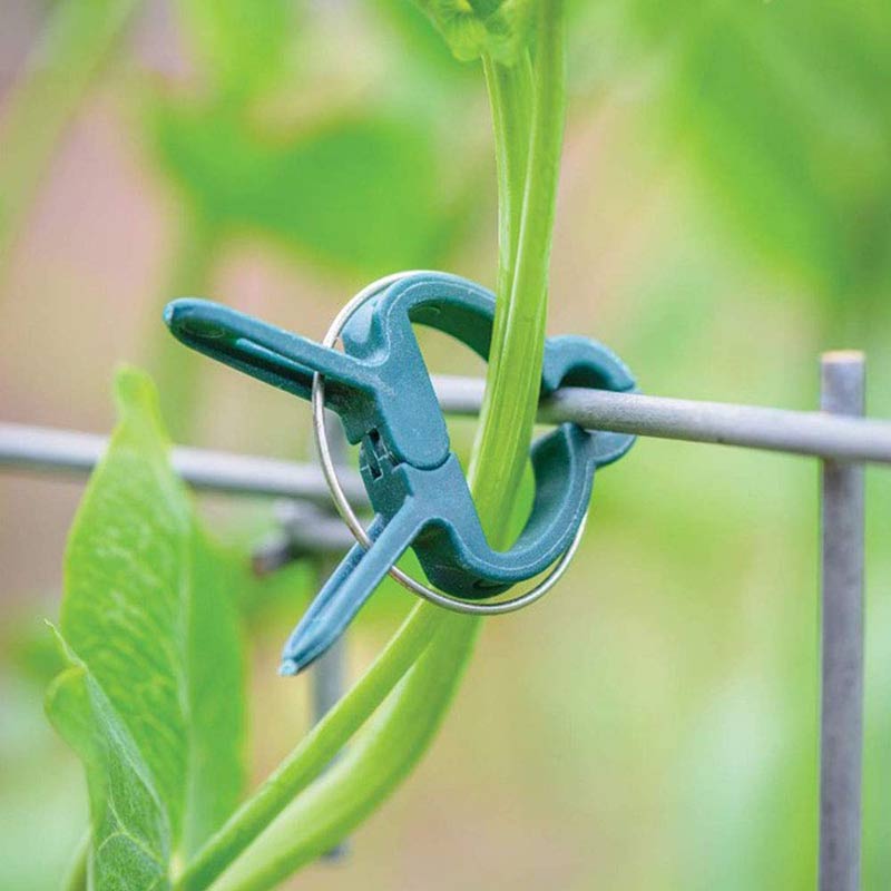 20Pcs Plant Support Clips Tomato Flower Vine Seedling Stem Bracket Pole Fixed Clamps Reusable Grafting Stakes Connector Clip