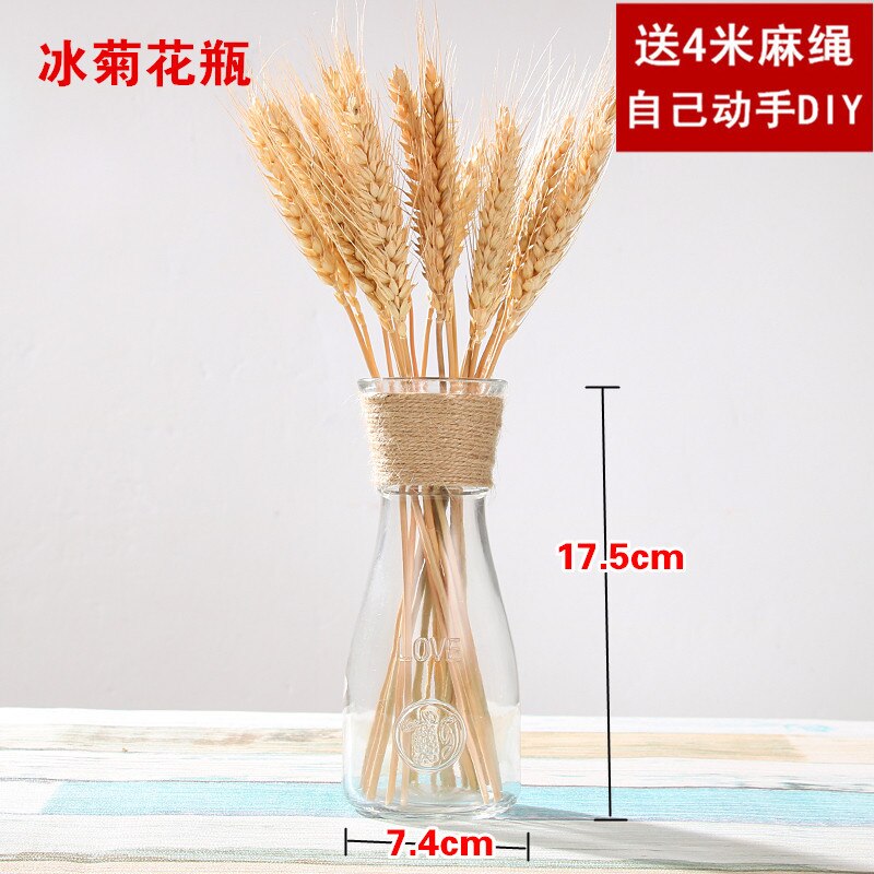 Jarrón de vidrio transparente , florero moderno minimalista hidropónico nórdico, adornos para el hogar, florero de flores secas: H-no flowers