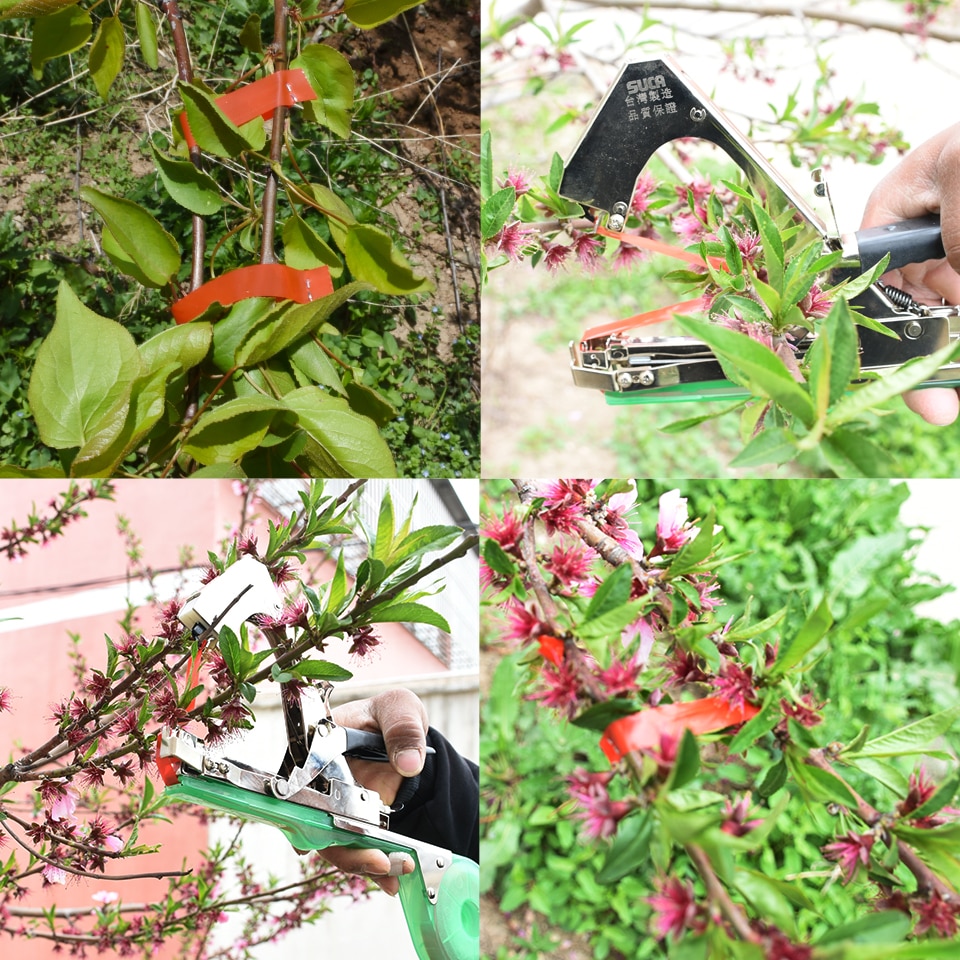 Kousenband Planten Koppelverkoop Machine Plant Tak Hand Koppelverkoop Bindmachine Gehakt Groente Tapetool Tapener Tapes Tuingereedschap