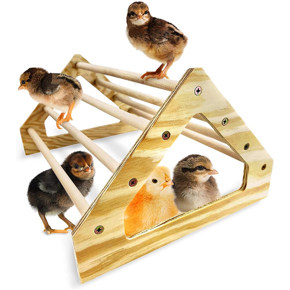 Perchoir Pour Poussins Avec Miroir – En Bois, 20x14x9 Cm, Pour L’élevage Et Le Jeu Des Volailles - 5