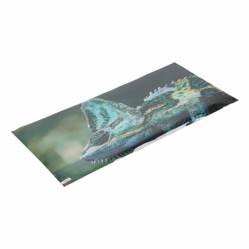 Aquarium Background Aquarium Sticker PVC Material for Fish Tank