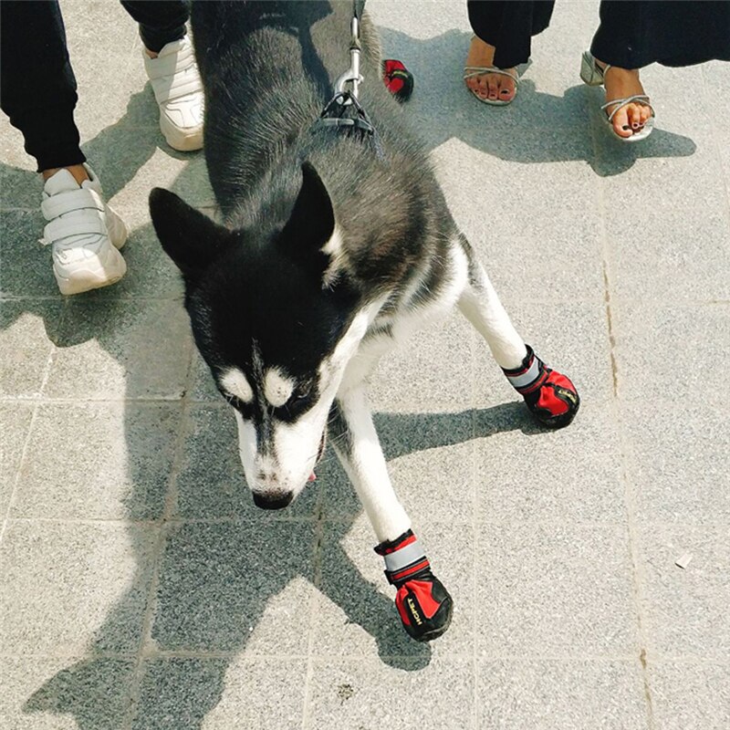 4pcs Pet Dog Shoes Reflective Waterproof Dog Boots Warm Snow Rain Pets Booties Anti-slip Socks Footwear for Medium Large Dog