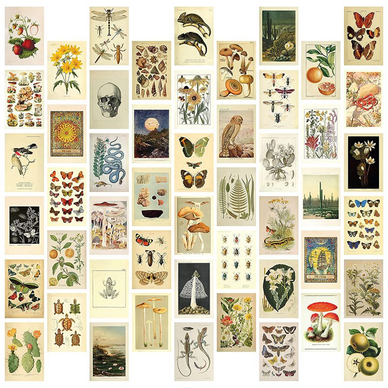 Vintage æstetisk vægcollagesæt  - 50 mini botaniske cottagecore collage kunstplakater  (4 x 6 tommer), til trendy fotovæg: Default Title