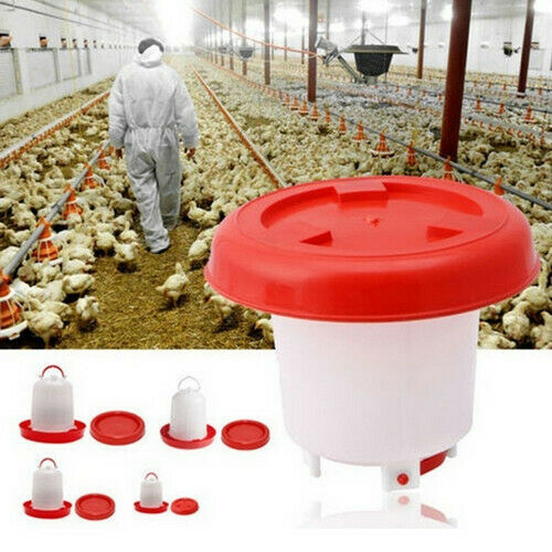 Plastic Kip Kwartel Gevogelte Kip Drinker Voedsel Feeder Kip Drinker Chick Kip Bantam Voedsel Water Accessoires Tool