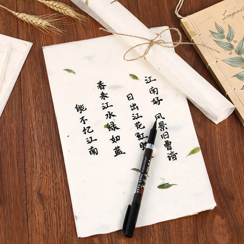 10 Stks/set Chinese Xuan Papier Schilderij Kalligrafie Schilderen Papier Chinese Stijl Vintage Letters Briefpapier