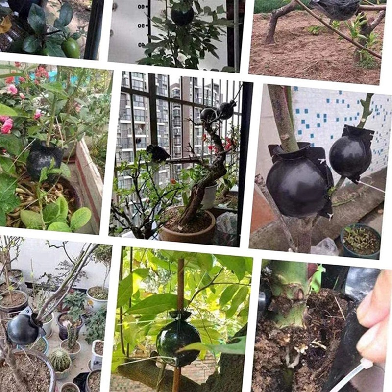 Reusable Plant Rooting Equipment Kit Cutting Grafting Rooting Box Tree Pressure Branch Rooting Propagator Breeding Ball