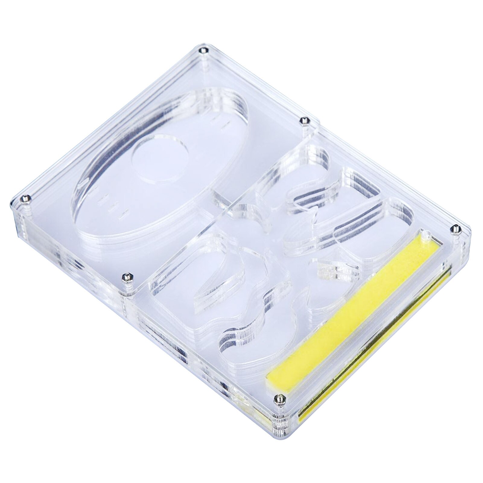 Fourmilière transparente en acrylique, boîtier de fourmis Durable, niche carrée, aménagement paysager, fourmilière, atelier, fourmilière pour animaux de compagnie