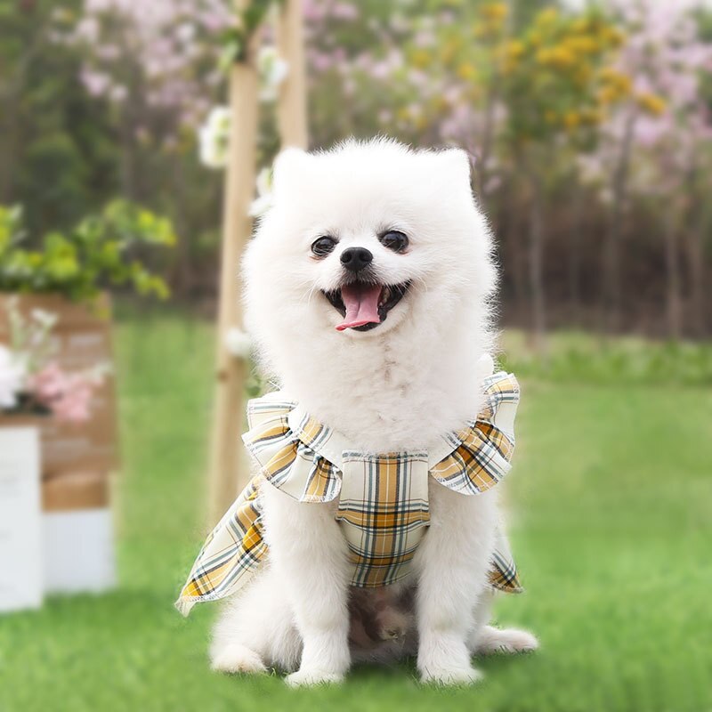Bowknot Dog Wedding Dress Cat Puppy Small Dog Clothes Yorkshire Bichon Poodle Pomeranian Shih Tzu Costumes Pet Clothing Summer