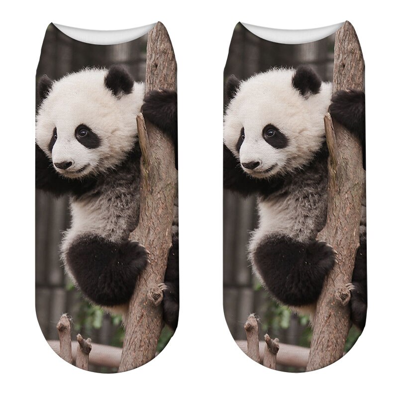 Casual, coole panda-patroon harajuku sokken voor dames, hipster, grappige katoenen korte sokken, vrouwelijke kunst, lage dunne sokken: Stijl 18