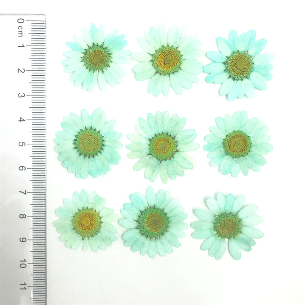 Silicone world Dried Flower Dry Plants For Epoxy Resin Pendant Necklace Jewelry Making Craft DIY Accessories UV Expoxy Flower: Beige