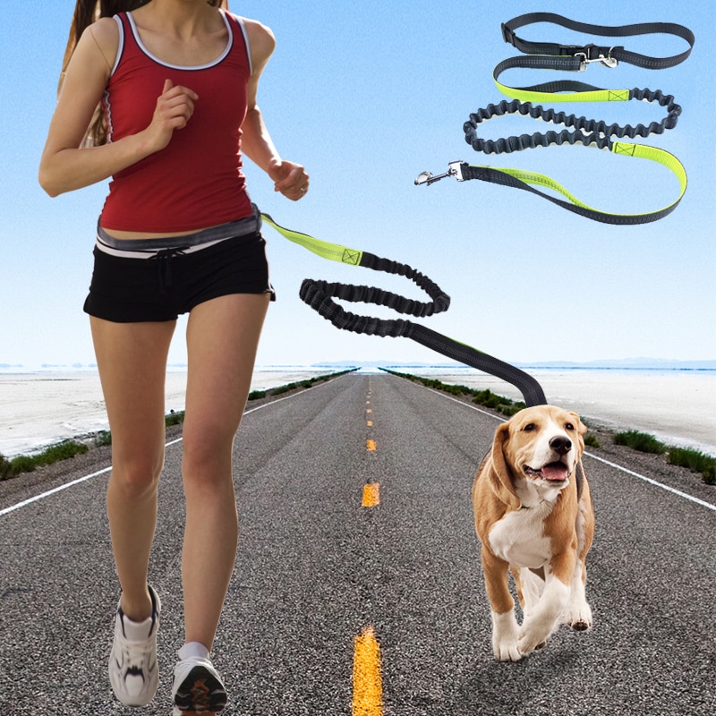 Handsfree-juoksu kävely lemmikkikoira lyijy heijastin säädettävä pentu koiran talutushihna koirille ketju lemmikit koirat tarvikkeet correa perro