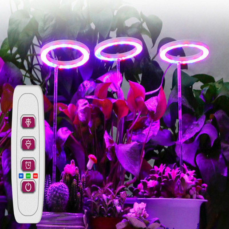 LED plant growth light full spectrum angel ring indoor potted household timing dimming succulent plant fill light