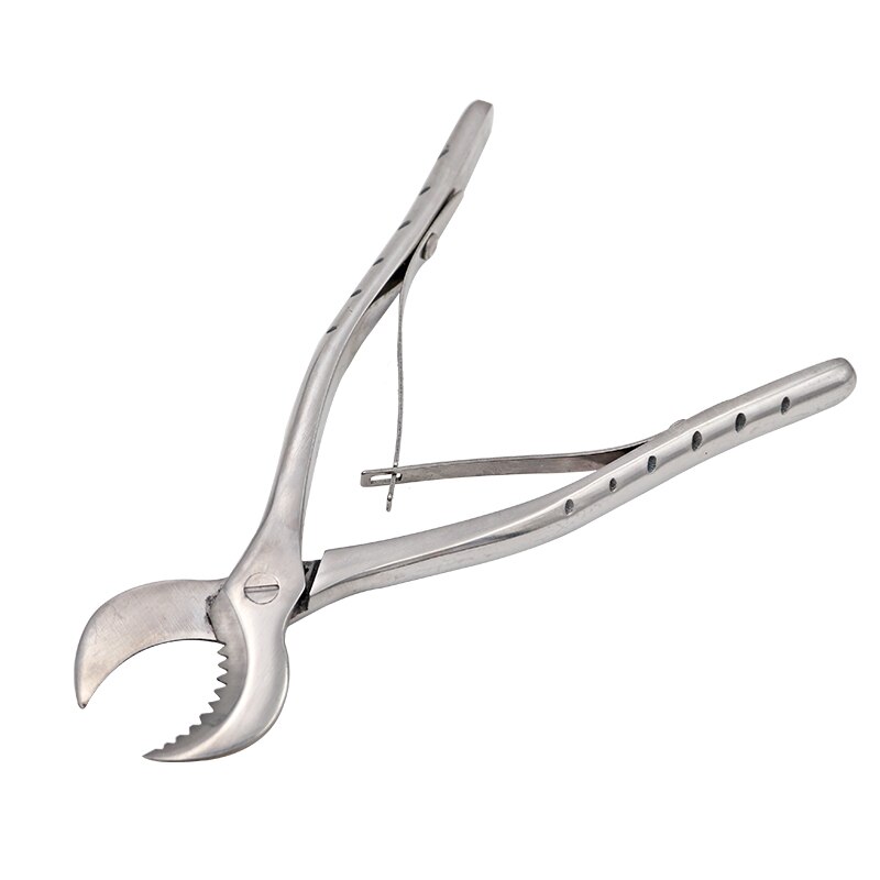 Dental Gips Scharen Scissiors Tandarts Lab Gereedschap Grote Roestvrijstalen Tang Instrument Gips Gips Schaar Materiaal: 18cm