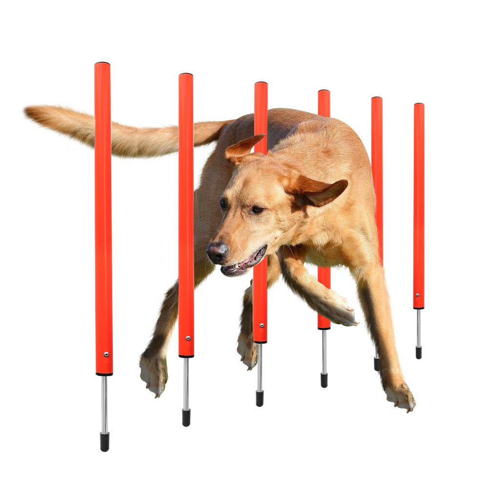 Outdoor Dog Training Equipment Portable Dog Exercise Running Training Jumping Stakes Sports Dogs Agility Equipment Pet Supplies: 3