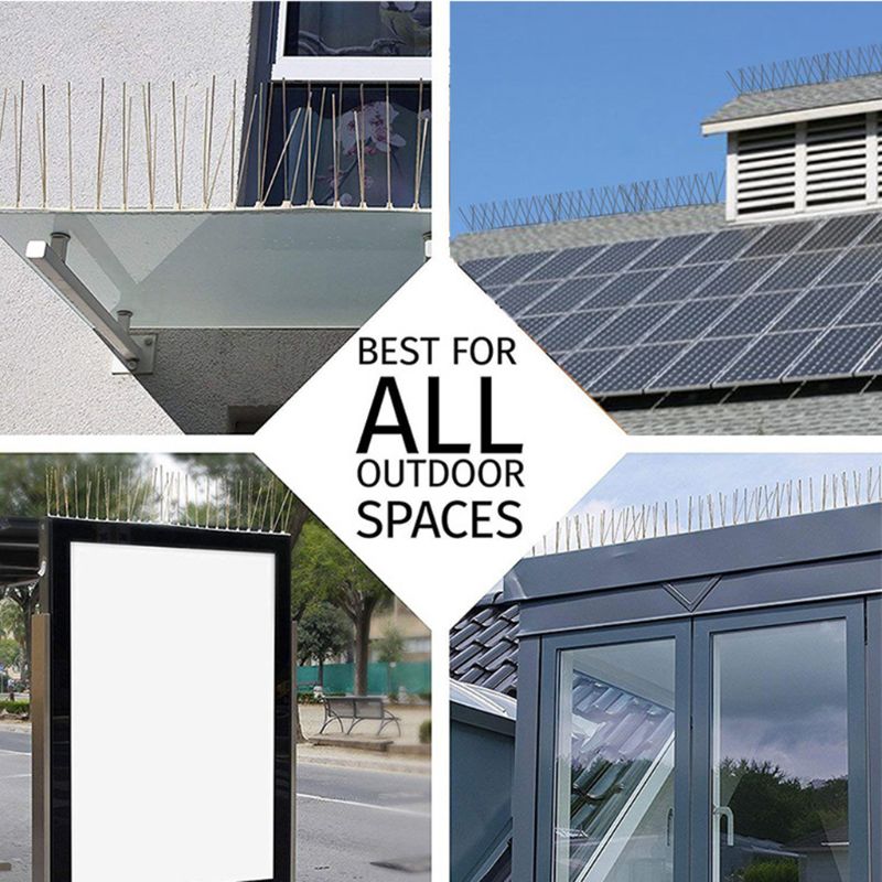 Stainless Steel Fence Wall Bird Spikes Eco-Friendly Anti Climb Guard Security 090C