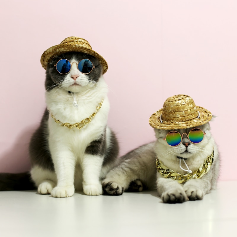 Mode Mooie Pet Kat Bril Hond Bril Puppy Producten Voor Kleine Hond Kat Eye-Wear Bescherming Zonnebril &#39;S Accessoires