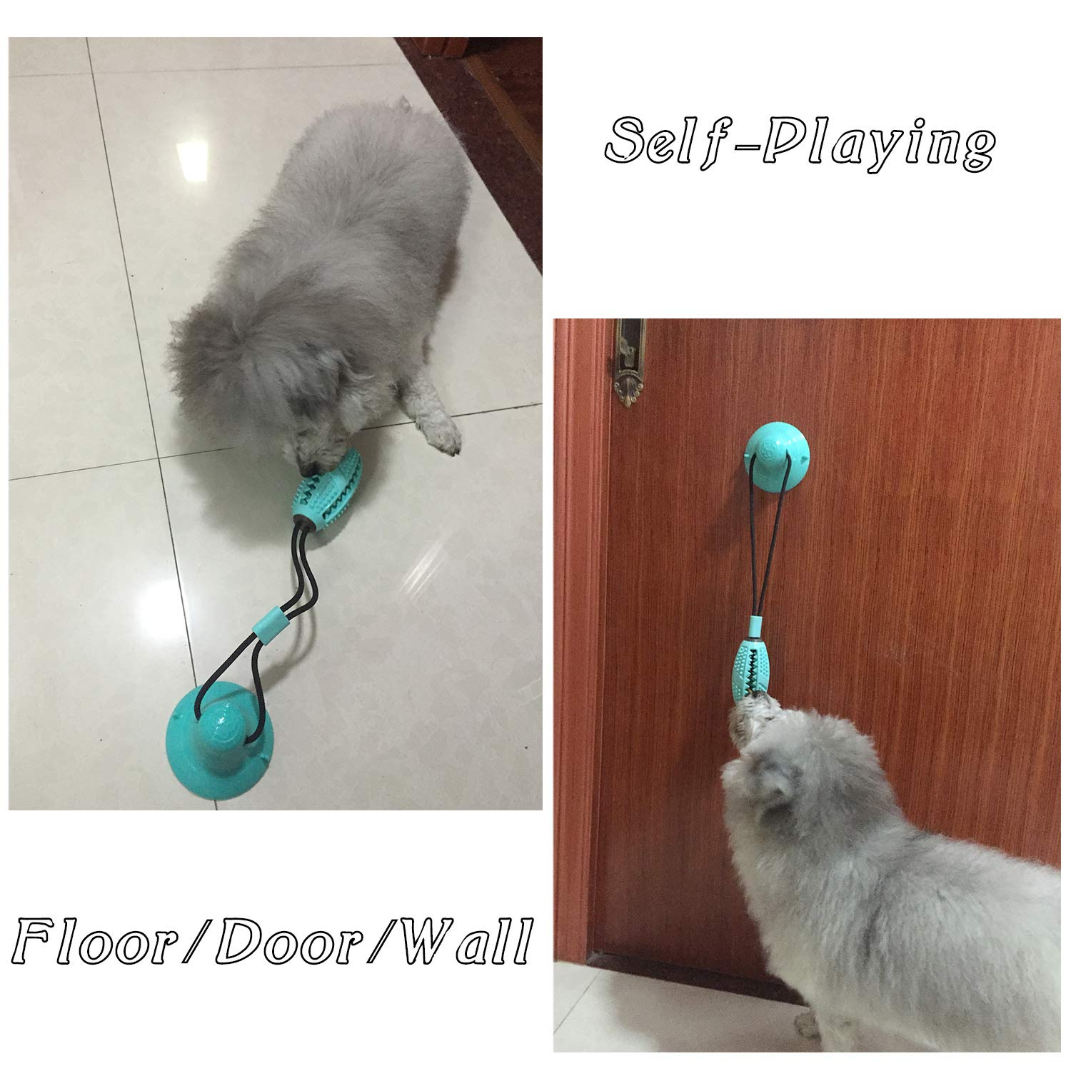 suction cup tug dog toy with Suction Cup Push Elastic Ropes Pet Tooth Cleaning Chewing Playing IQ Treat Puppy Cats Toys