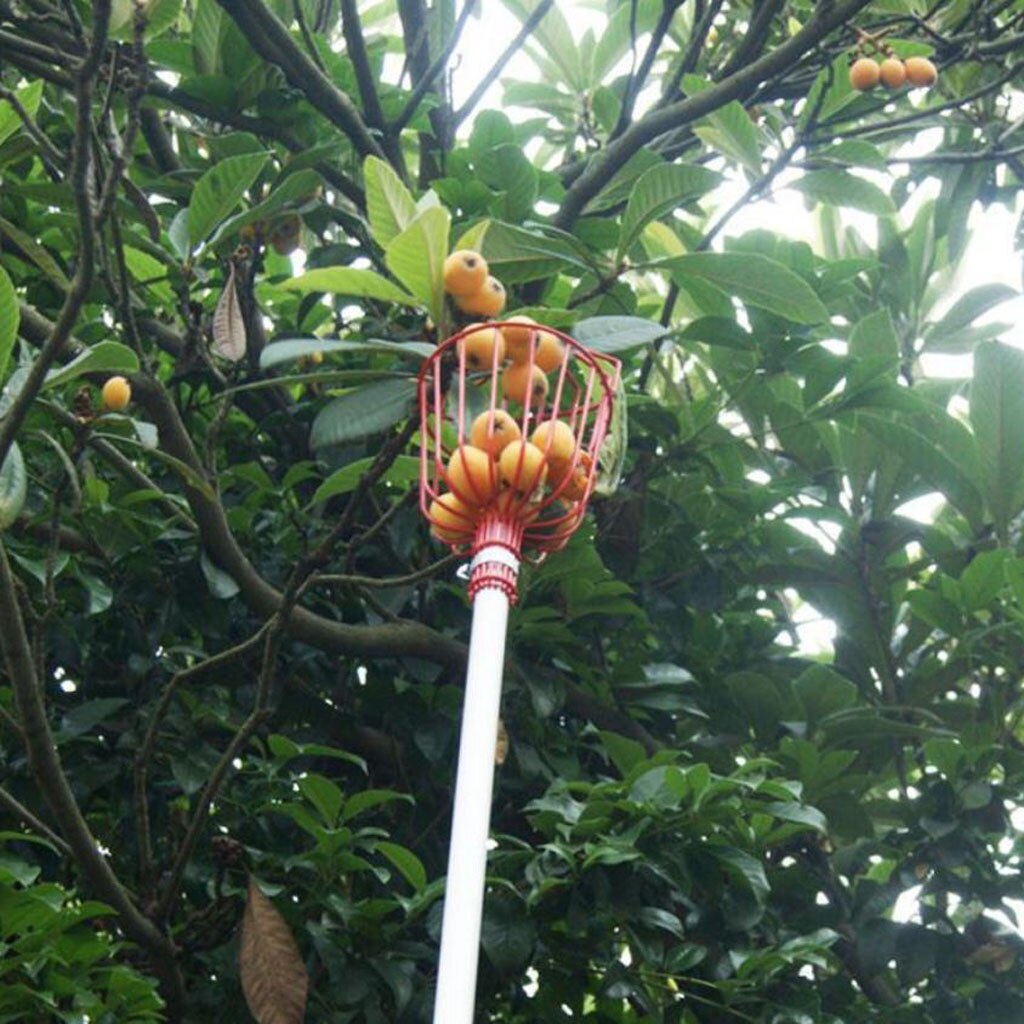 Garden Tools Fruit Picker Gardening Fruits Collect... – Grandado
