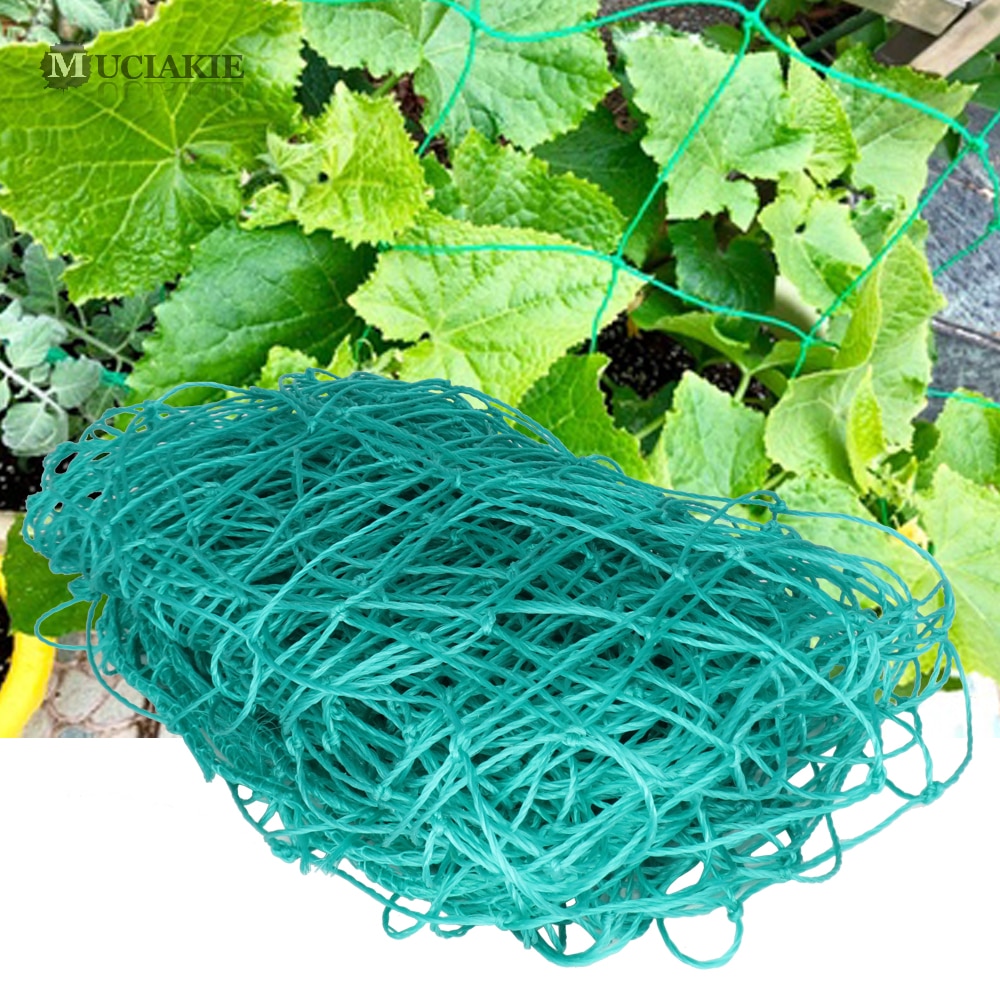 Garden Plant Support Netting Climbing Vegetables Flowers Green Mesh 10x10cm Vining Vegetables for Containers Trellis Mesh