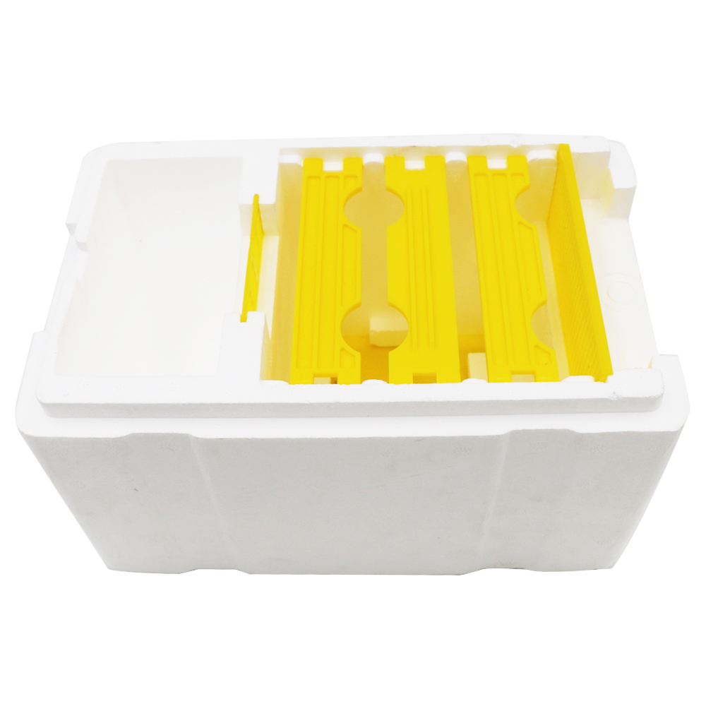 Mini Poly Beehive Harvest Bee Box Queen Pollination Beekeeping for Bee Mating Copulation Queen Rearing Beehive Feeder Movable