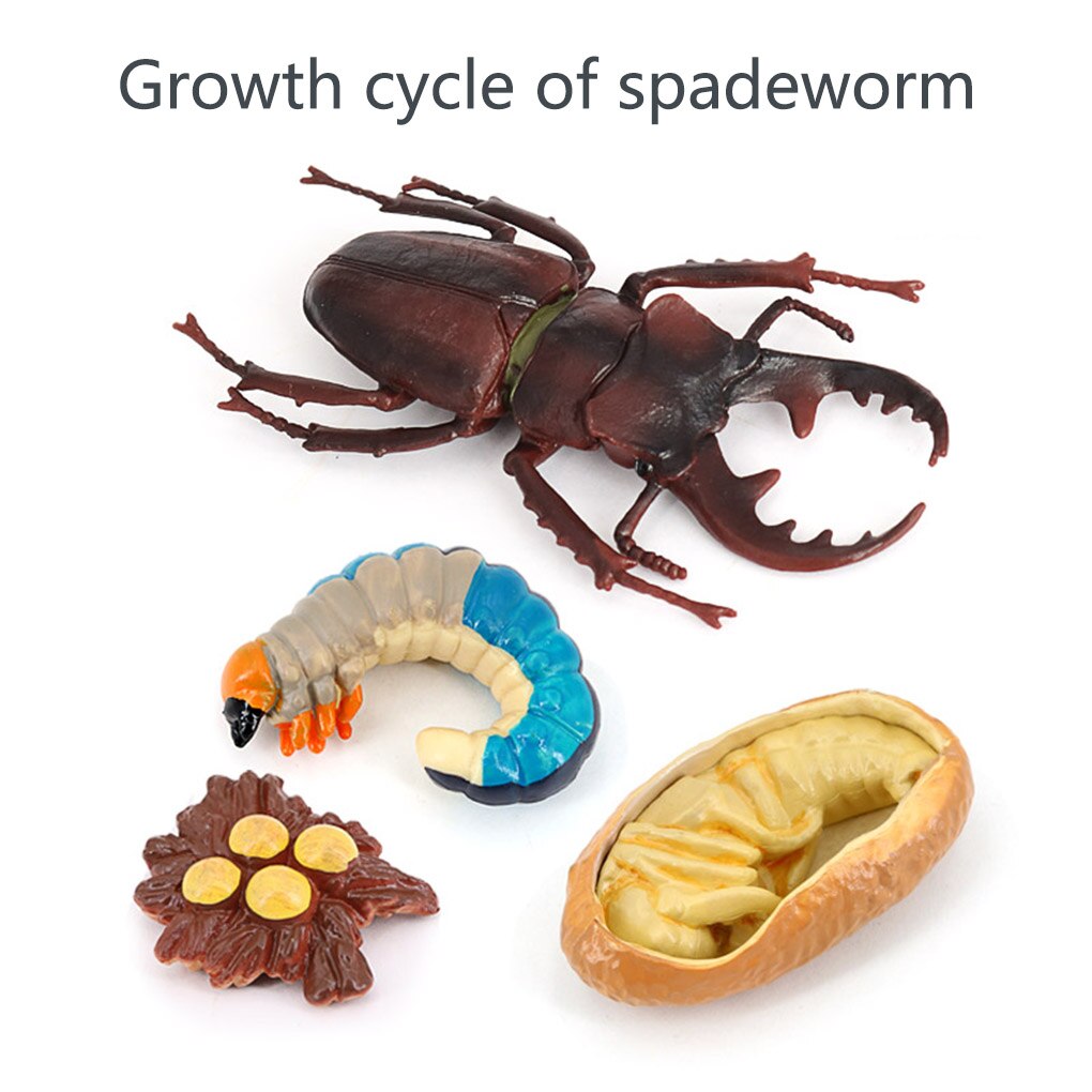 1 set spatenwurm-modell aus simuliertem kunststoff, detailgetreue insektenfiguren, interessante, naturbezogene wachstumsmodelle: Default Title