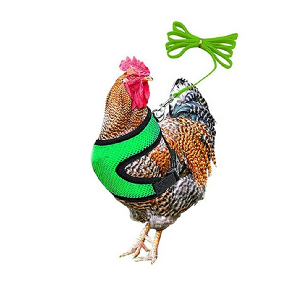 1 Set Poultry Harness Stylish Outdoor Chicken Vest Harness Colorful Chicken Harness: Green / S