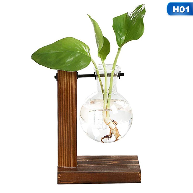 Eenvoudige en glazen flesvaas, houten standaard, hydrocultuurvaas, groene plant, kleine vaas, bureaudecoratie, scandinavische vaas: H01