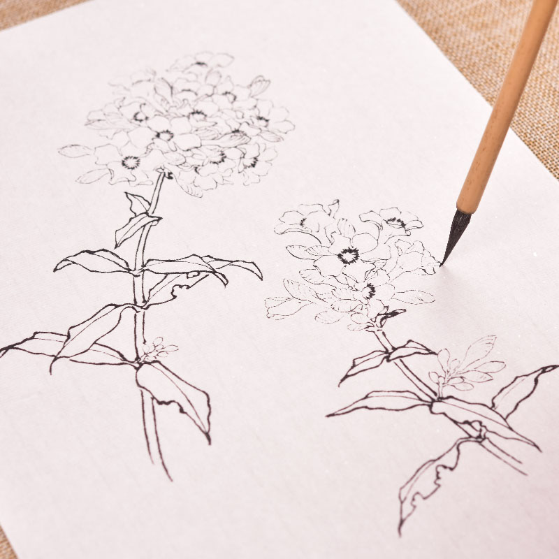 Papier de traçage de ligne de fleur, branche d&#39;arbre chinois, fleurs, peinture de manuscrit, cahier de dessin, peinture aquarelle chinoise