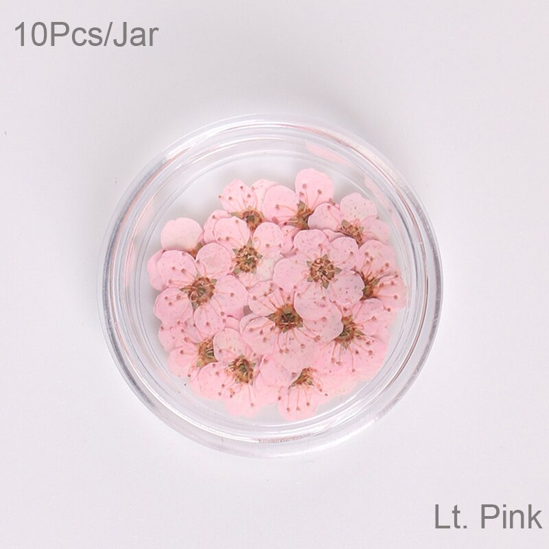 10 st  /1 box äkta nagelblommor gör-det-själv naturliga torkade blommor naglar konst dekoration torr flowe manikyr tillbehör blomdekaler
