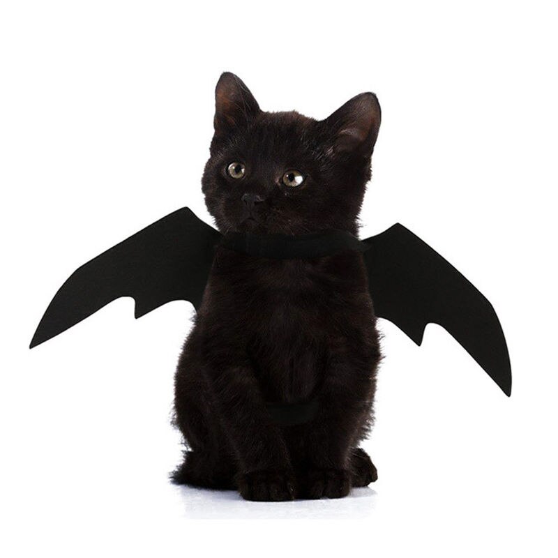 Söpö halloween pienet koirat kissa puku vampyyri pieni lemmikki kissa lepakko siivet halloween kissan siivet asusteet halloween koristeet