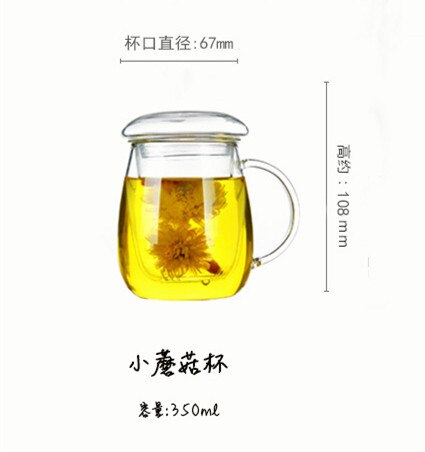 Vaso de té de vidrio de borosilicato de 350 ml/500 ml para oficina, gafas de té de Kung Fu con infusor, taza de agua desmontable aislada: S-350ml
